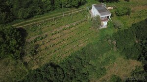 Predaj chaty s rekreačným pozemkom v Šahách, okres Levice — foto 3