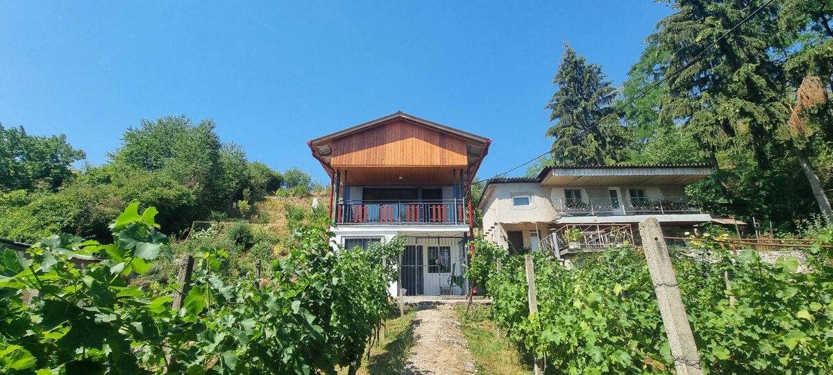 Rekreačná chata v Šahách – časť Strojstav. 35500 euro