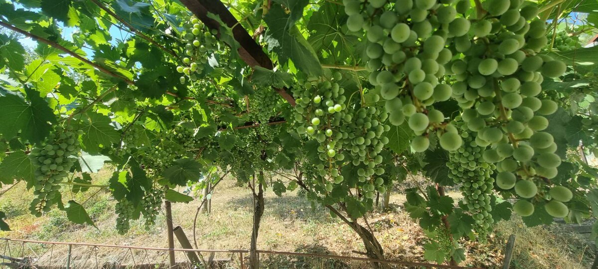 Rekreačná chata v Šahách – časť Strojstav. 35500 euro — foto 19