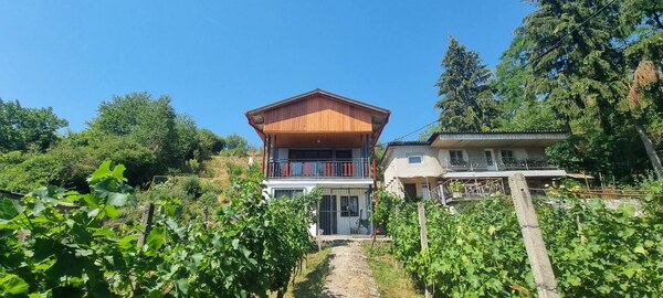 Rekreačná chata v Šahách – časť Strojstav. 35500 euro