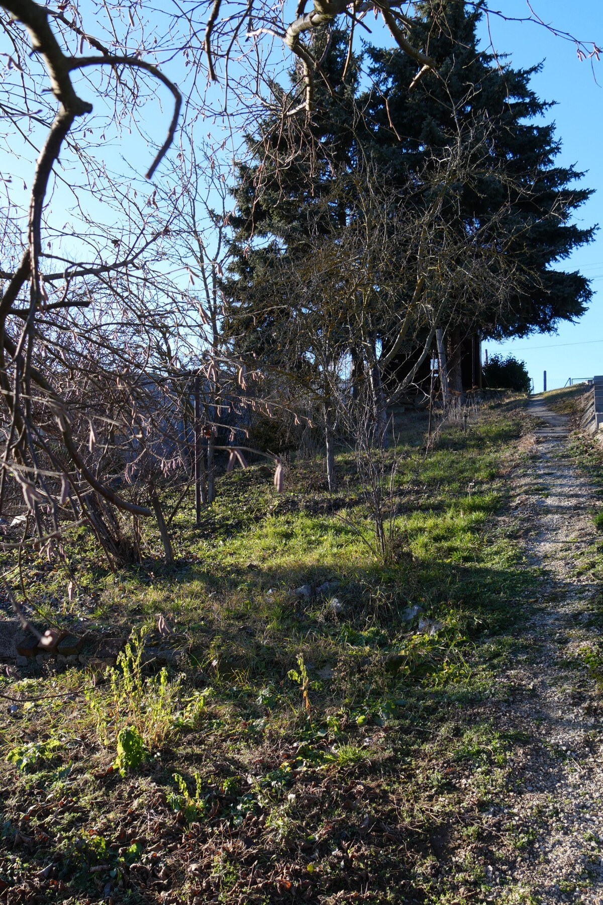 Chata na predaj v lokalite Šahy v okrese Levice — foto 13