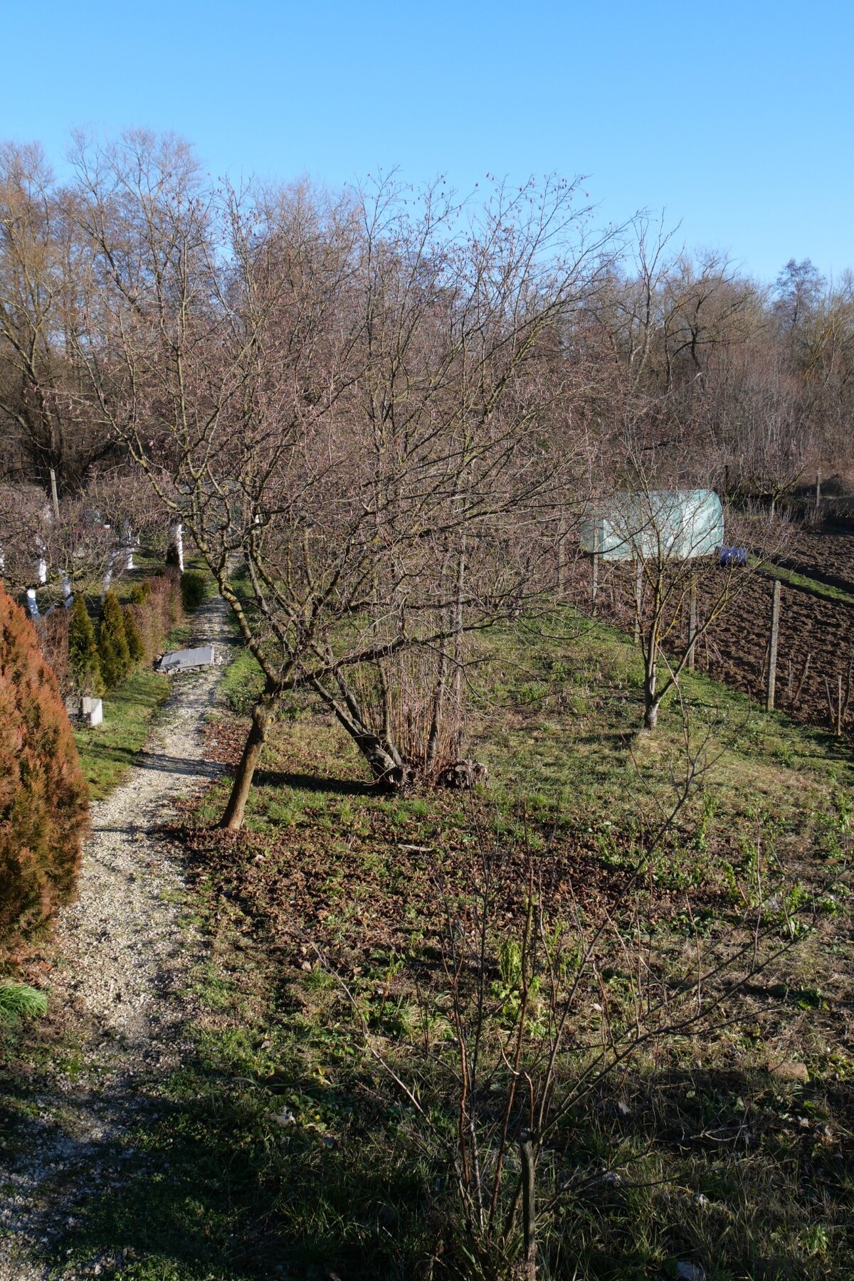 Chata na predaj v lokalite Šahy v okrese Levice — foto 4
