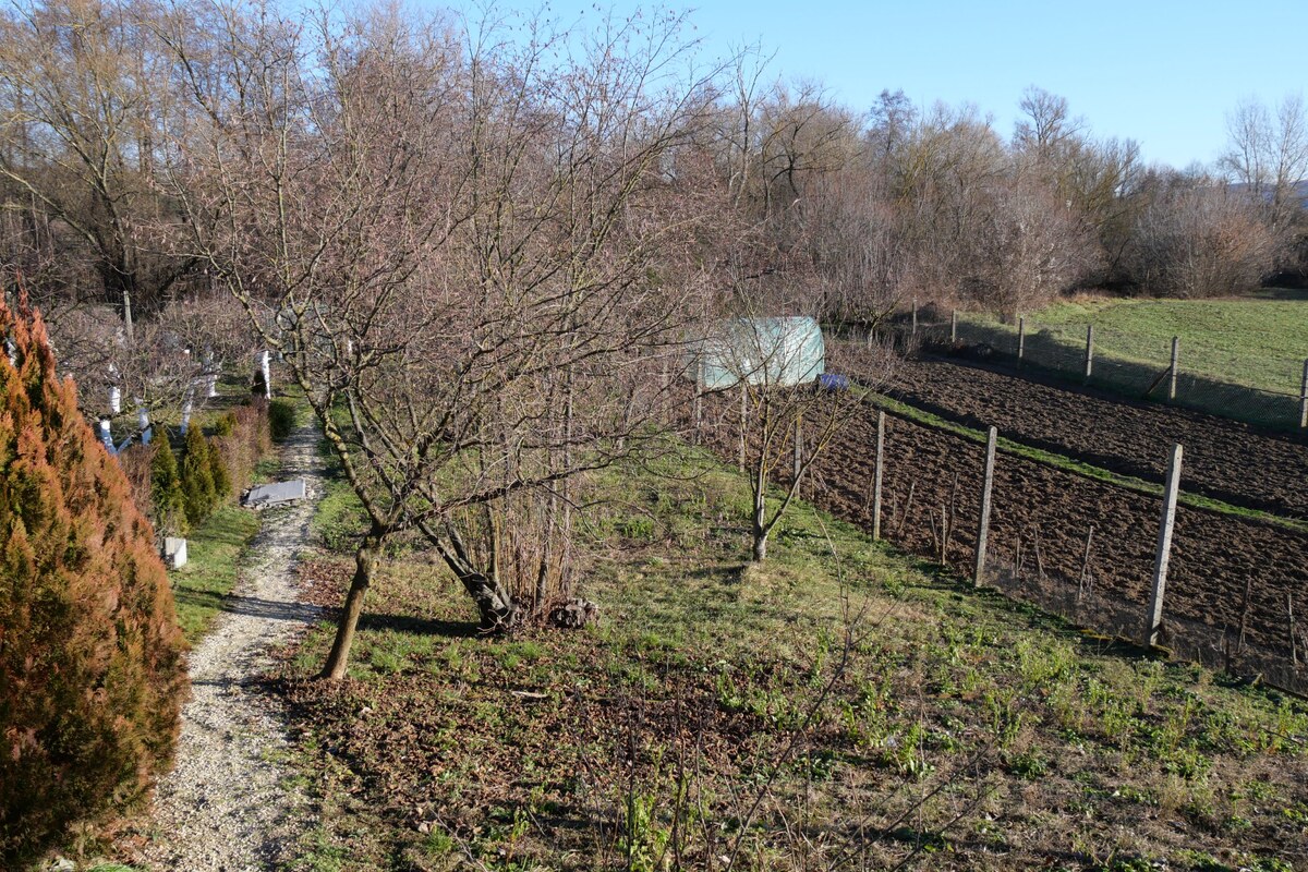 Chata na predaj v lokalite Šahy v okrese Levice — foto 5
