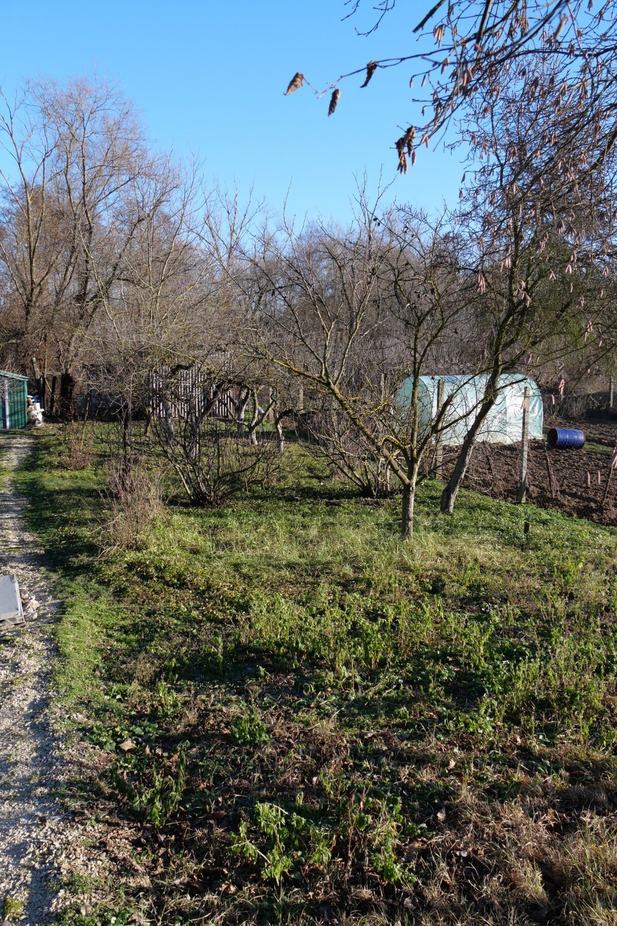 Chata na predaj v lokalite Šahy v okrese Levice — foto 6