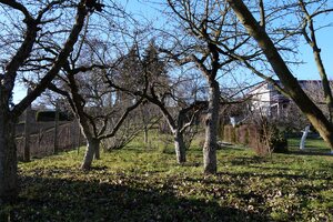 Chata na predaj v lokalite Šahy v okrese Levice — foto 10