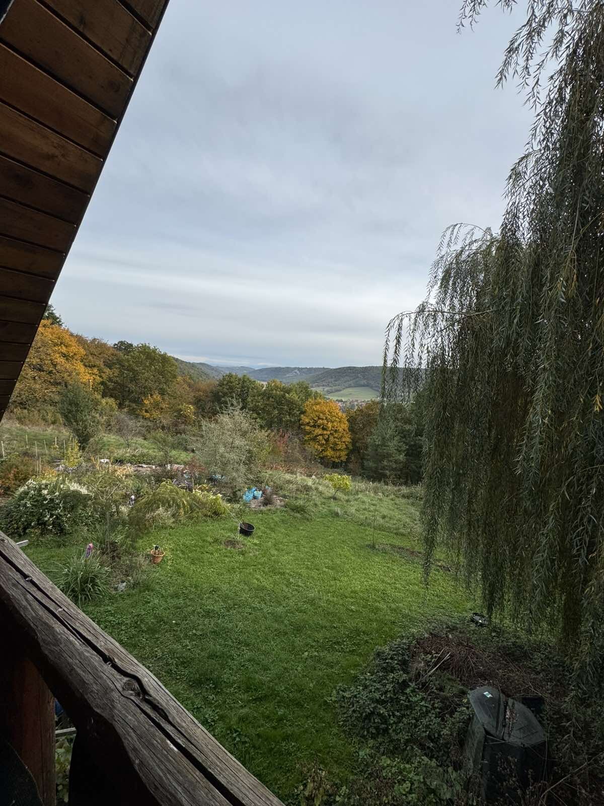 Na predaj: Drevená chata v lone prírody s pozemkom 7212 m² — foto 4
