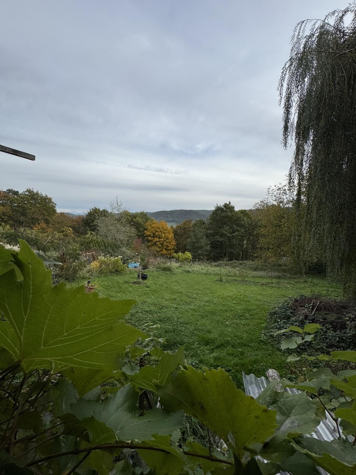 Na predaj: Drevená chata v lone prírody s pozemkom 7212 m² — foto 6