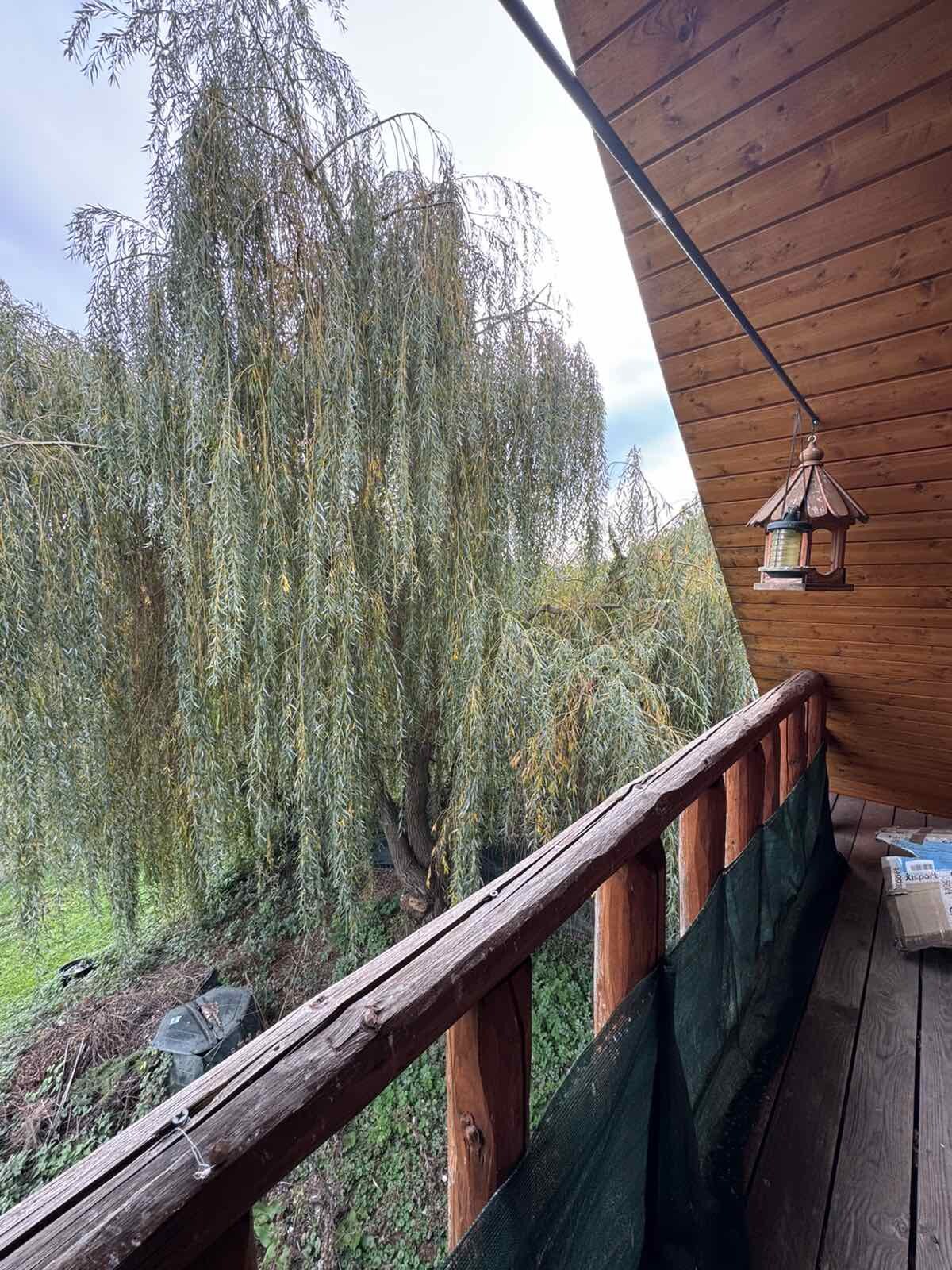 Na predaj: Drevená chata v lone prírody s pozemkom 7212 m² — foto 8
