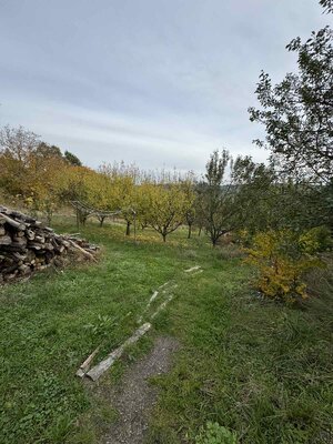 Na predaj: Drevená chata v lone prírody s pozemkom 7212 m² — foto 7