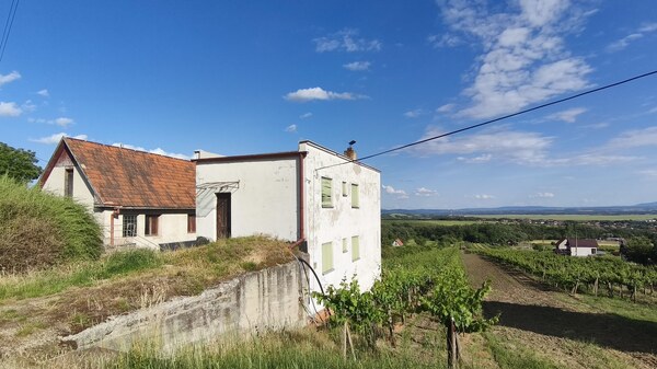 3-podlažný vínny domček s vinicou v obci Vinica, okr. V. Krtíš.
