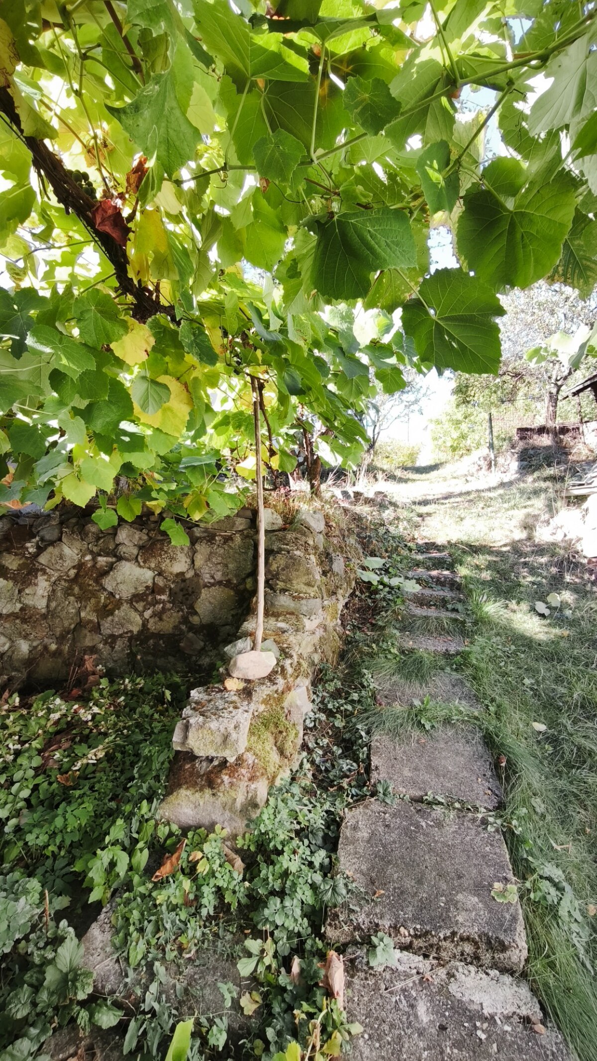 Pôvodný vidiecky dom v obci Čebovce okr. Veľký Krtíš. — foto 7