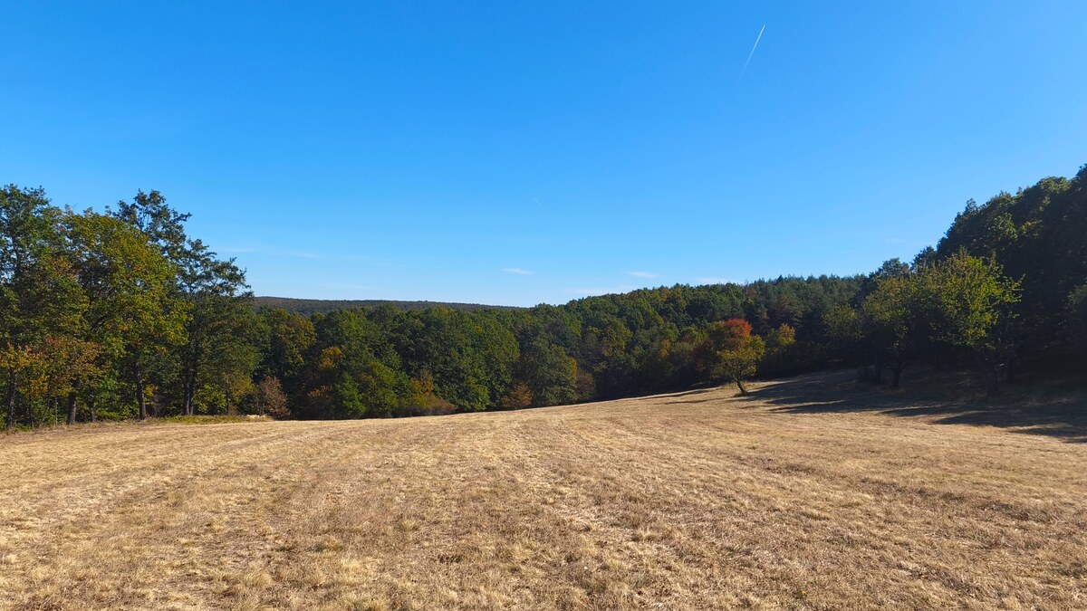 Rozľahlý pozemok (17 041 m²) v malebnej obci Hrušov, okr. V. Krtíš.