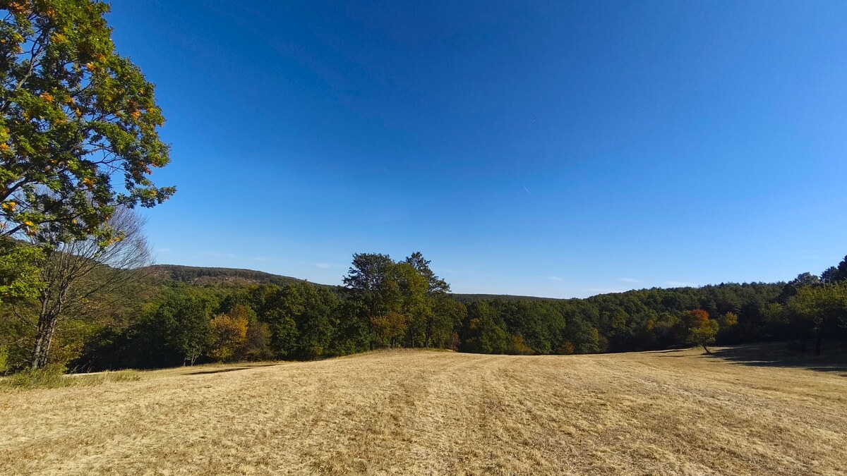 Rozľahlý pozemok (17 041 m²) v malebnej obci Hrušov, okr. V. Krtíš. — foto 3