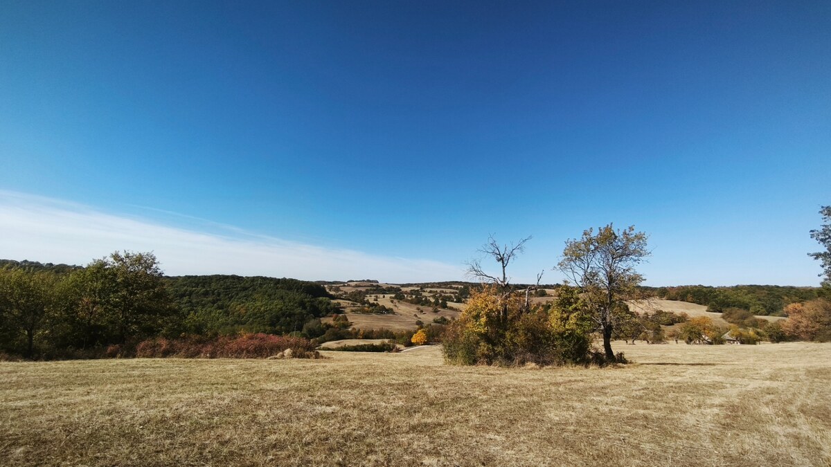 Očarujúci pozemok (3,1 ha) s panoramatickým výhľadom v obci Hrušov