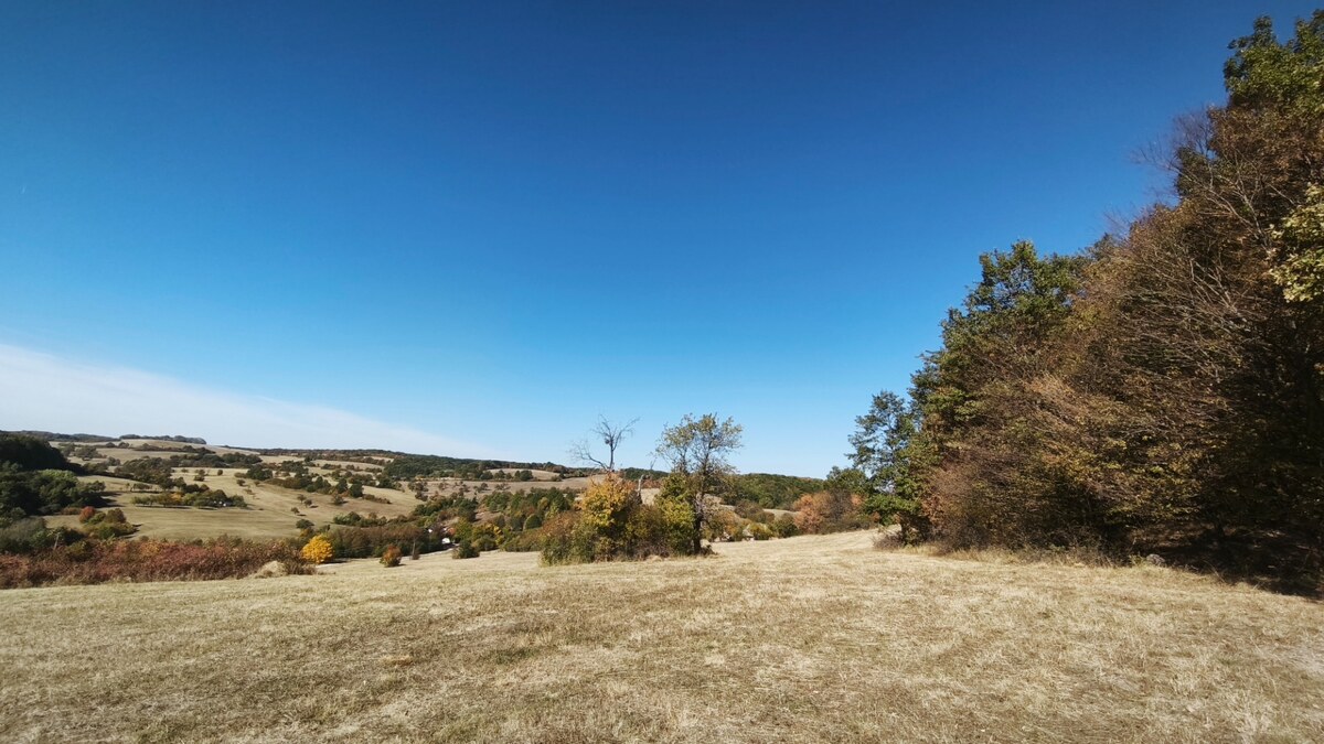 Očarujúci pozemok (3,1 ha) s panoramatickým výhľadom v obci Hrušov — foto 3