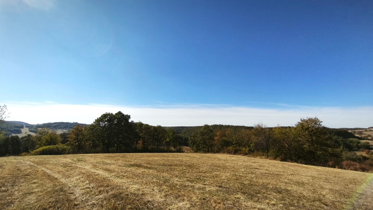 Očarujúci pozemok (3,1 ha) s panoramatickým výhľadom v obci Hrušov — foto 4