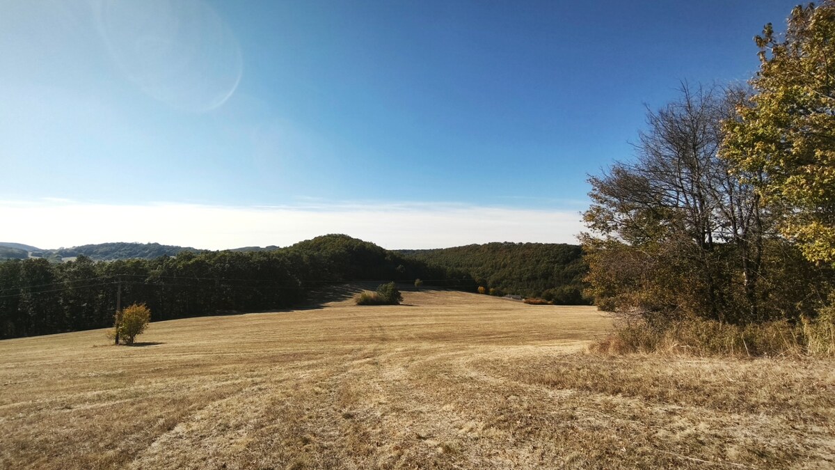 Očarujúci pozemok (3,1 ha) s panoramatickým výhľadom v obci Hrušov — foto 6