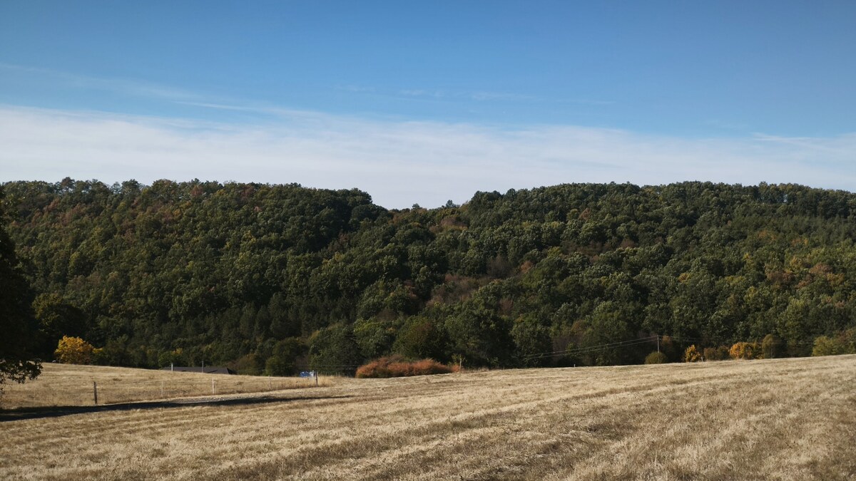 Očarujúci pozemok (3,1 ha) s panoramatickým výhľadom v obci Hrušov — foto 8