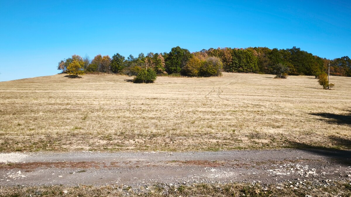 Očarujúci pozemok (3,1 ha) s panoramatickým výhľadom v obci Hrušov — foto 9