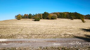 Očarujúci pozemok (3,1 ha) s panoramatickým výhľadom v obci Hrušov — foto 9