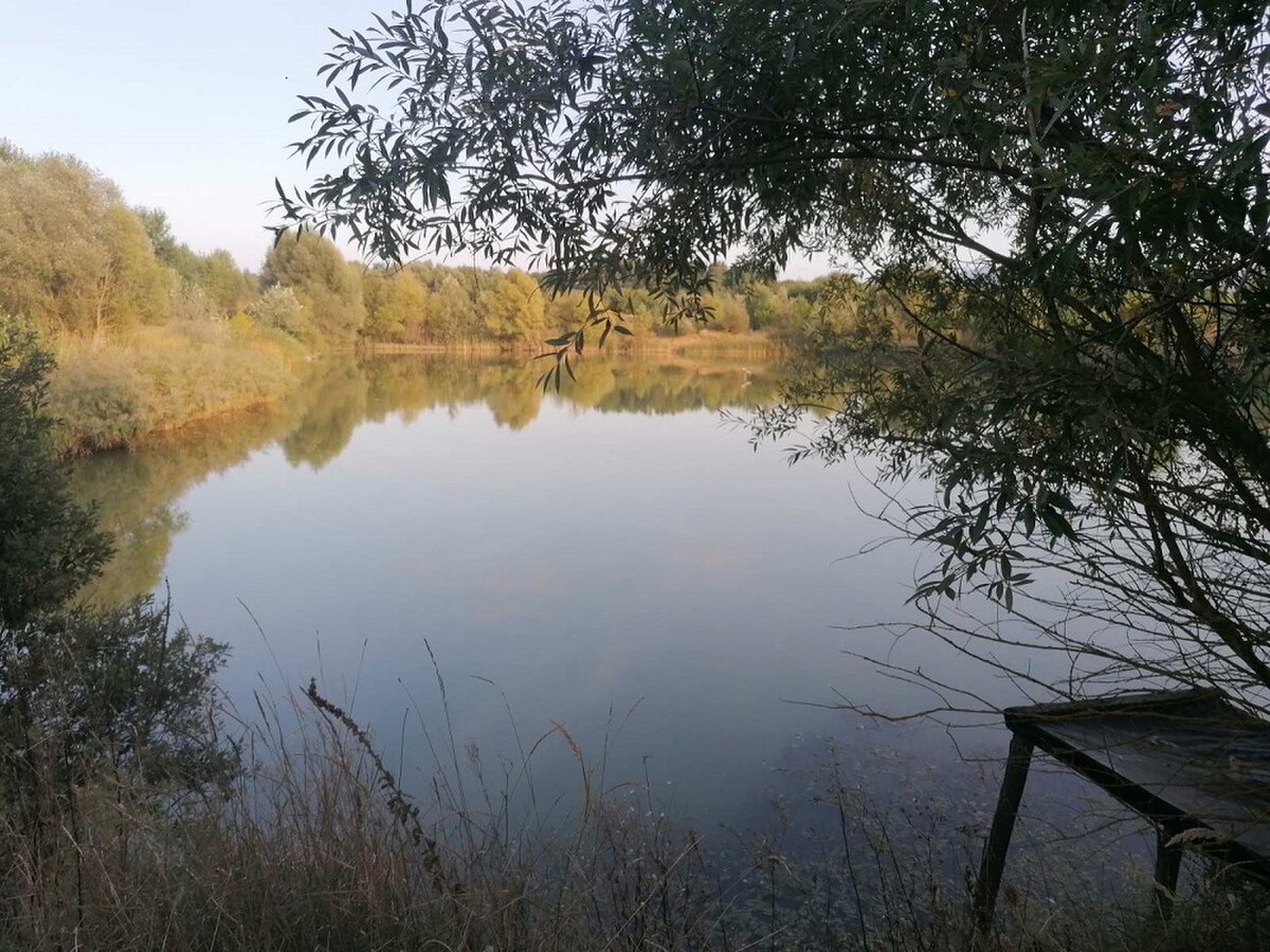 Exkluzívny prenájom: Jazero a pozemky s mimoriadnym rekreačným aj podn — foto 5