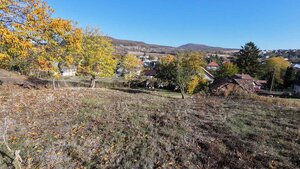 HĽADÁTE POKOJ, VEĽKÚ ZÁHRADU A PRAVÚ DEDINSKÚ POHODU? — foto 15