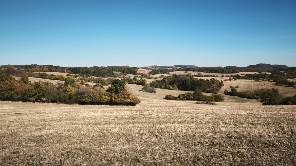 Rekreačný pozemok (12 812 m²) v obci Hrušov, okr. V. Krtíš