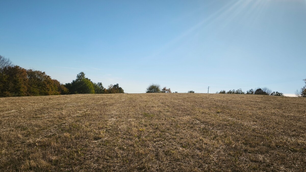 Rekreačný pozemok (12 812 m²) v obci Hrušov, okr. V. Krtíš — foto 2