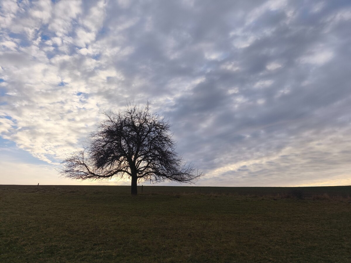Registrovaná farmárska usadlosť na polosamote – Prieloh, okr. V. Krtíš — foto 19