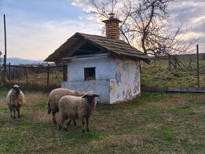 Registrovaná farmárska usadlosť na polosamote – Prieloh, okr. V. Krtíš — foto 18