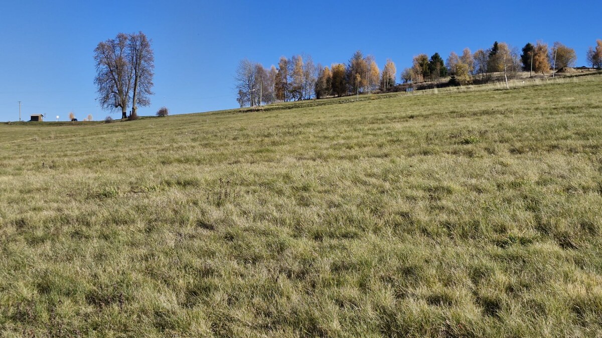 VÝBORNÁ INVESTIČNÁ PRÍLEŽITOSŤ: Pozemok v srdci Podpoľania — foto 10