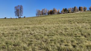 VÝBORNÁ INVESTIČNÁ PRÍLEŽITOSŤ: Pozemok v srdci Podpoľania — foto 10