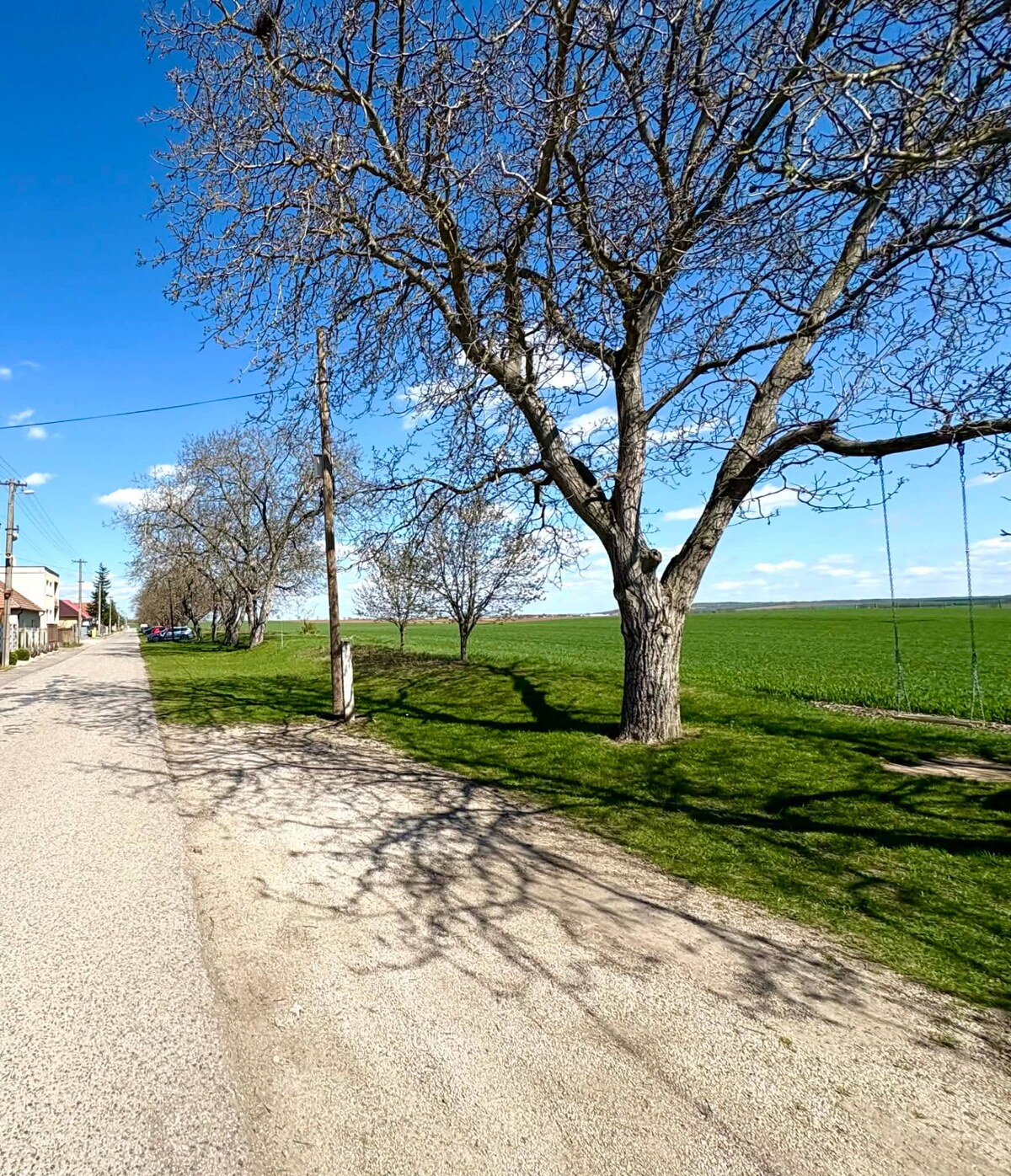 Na predaj stavebný pozemok neďaleko Šurian — foto 2