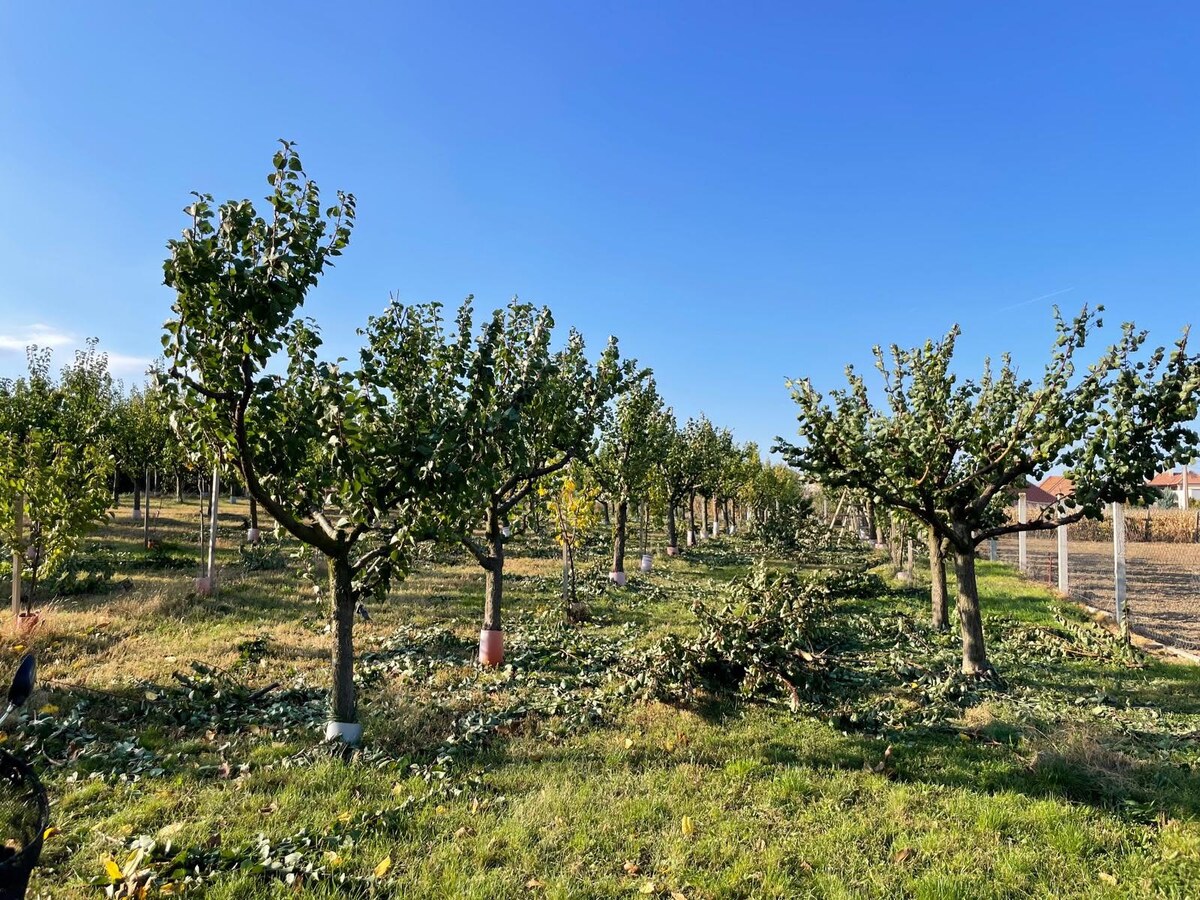 Priestranné stavebné pozemky  v obci Branovo — foto 6