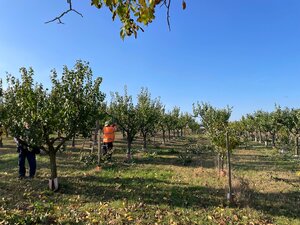 Priestranné stavebné pozemky  v obci Branovo — foto 8