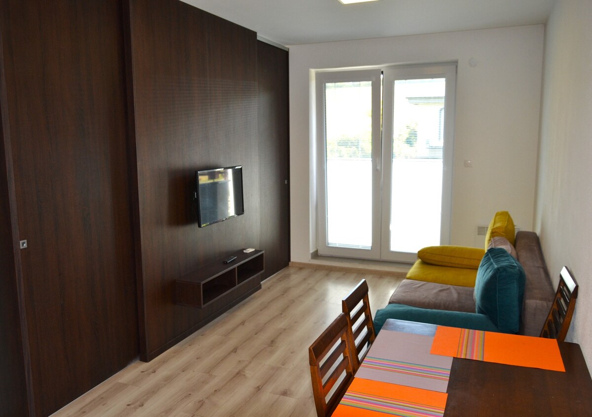 Na predaj 2-izbový apartmán v novostavbe v obci Podhájska — foto 2