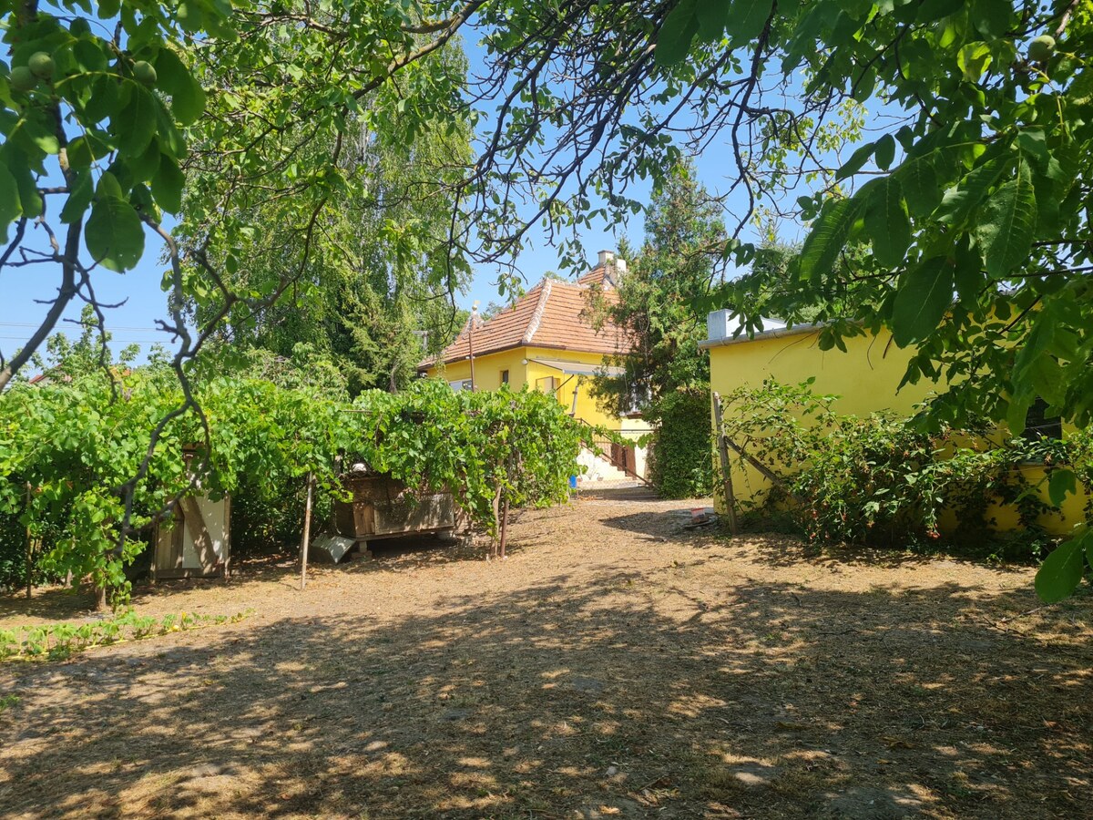 Predaj rodinného domu Komjatice — foto 16