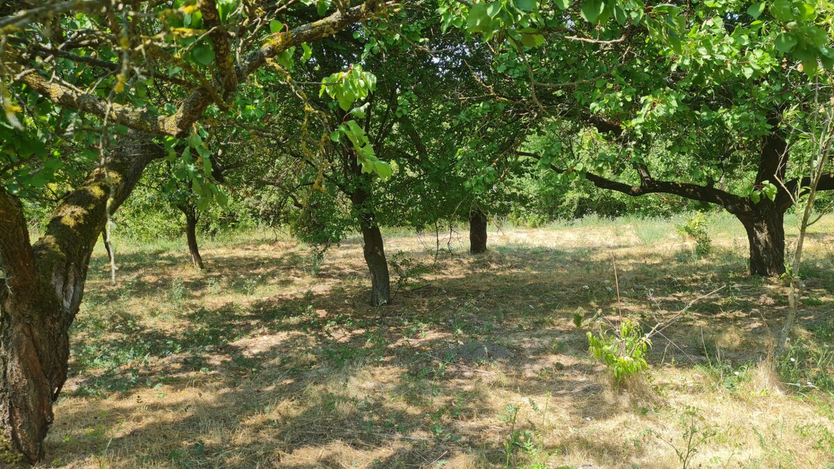 Predaj rodinného domu Komjatice — foto 17