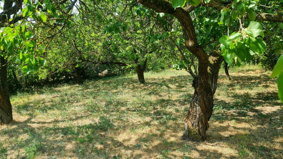 Predaj rodinného domu Komjatice — foto 18
