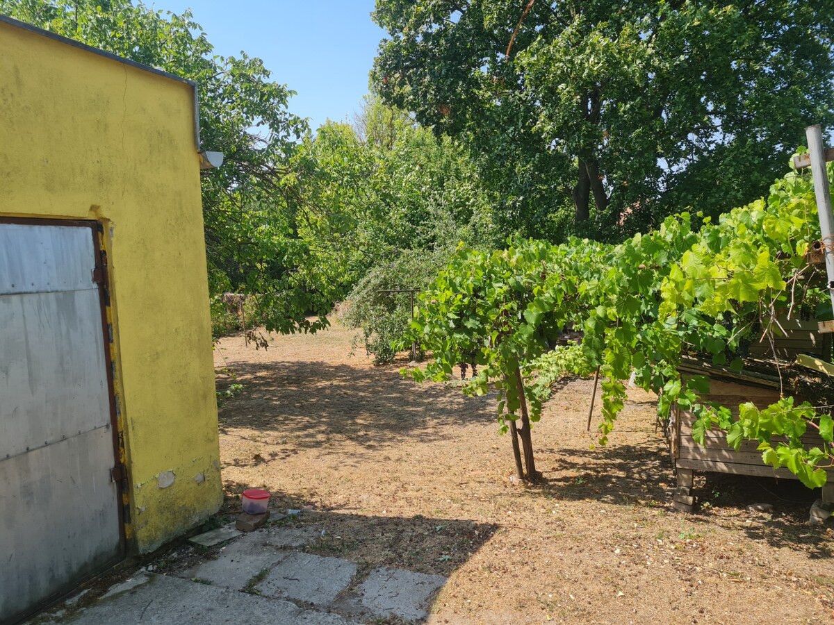 Predaj rodinného domu Komjatice — foto 8