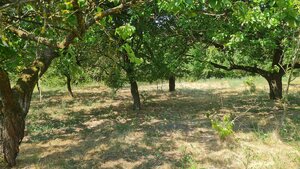 Predaj rodinného domu Komjatice — foto 17