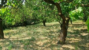 Predaj rodinného domu Komjatice — foto 18