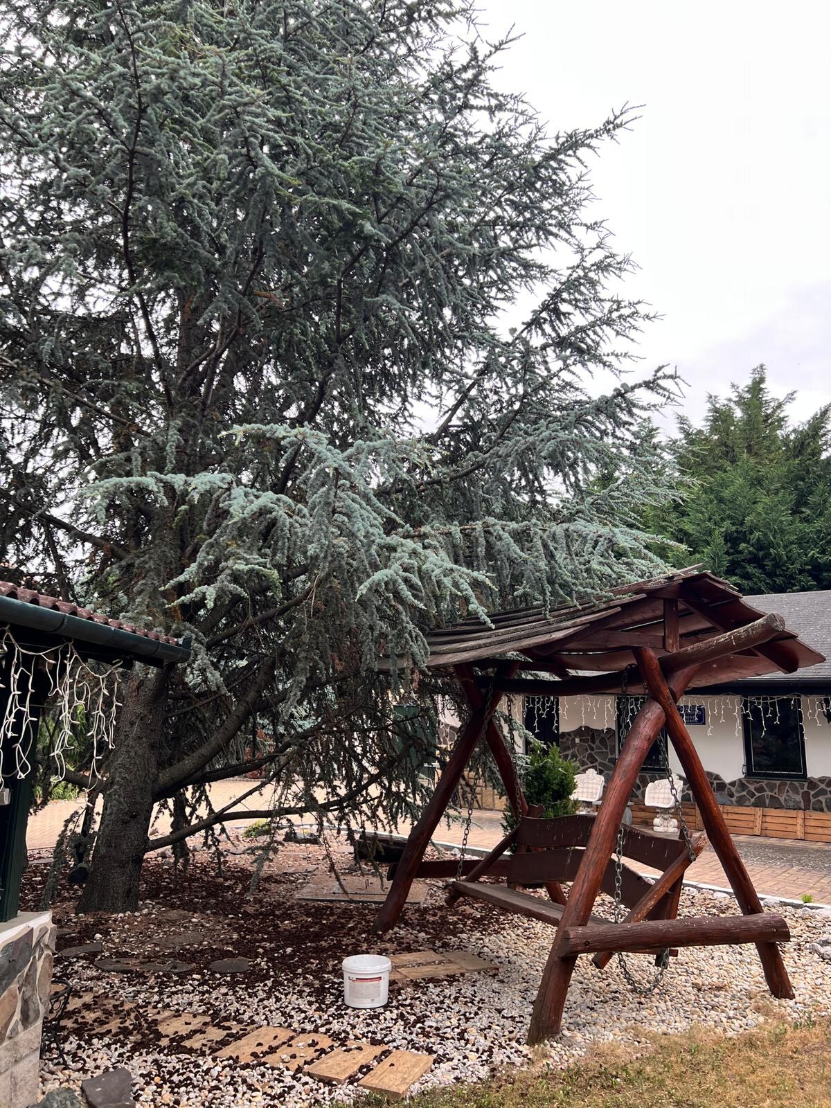 Výnimočná 9-izbová nehnuteľnosť s veľkým pozemkom – ideálna na podnika — foto 14