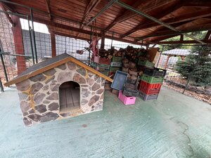 Výnimočná 9-izbová nehnuteľnosť s veľkým pozemkom – ideálna na podnika — foto 15
