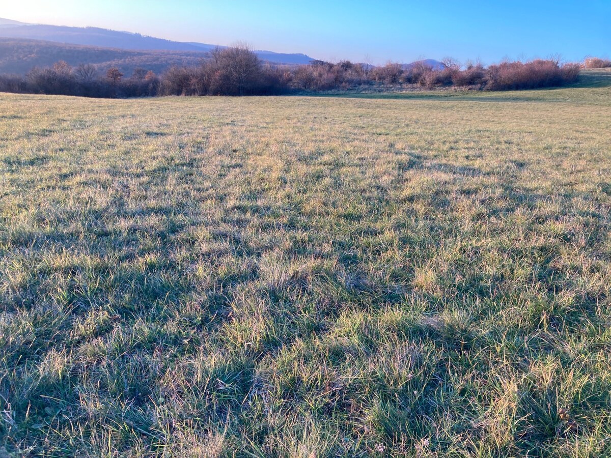Predaj pozemok Jedľové Kostoľany — foto 2