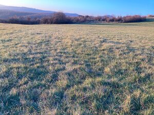 Predaj pozemok Jedľové Kostoľany — foto 2