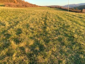 Predaj pozemok Jedľové Kostoľany — foto 3