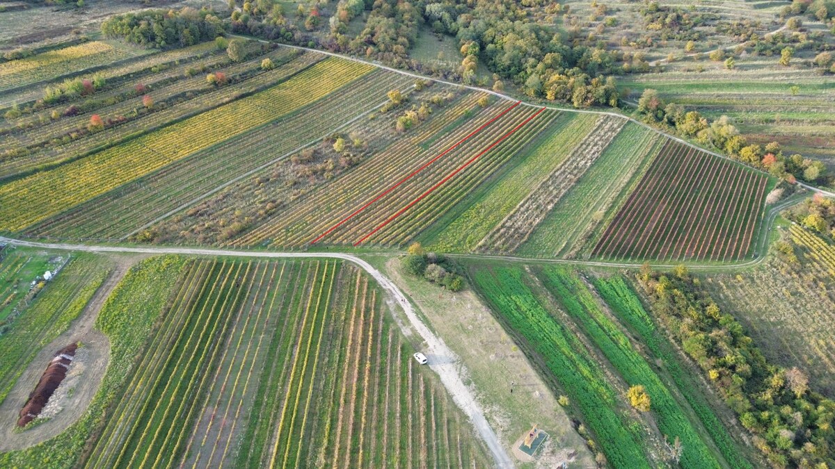 PREDAJ Vinohradu – Pezinok — foto 3