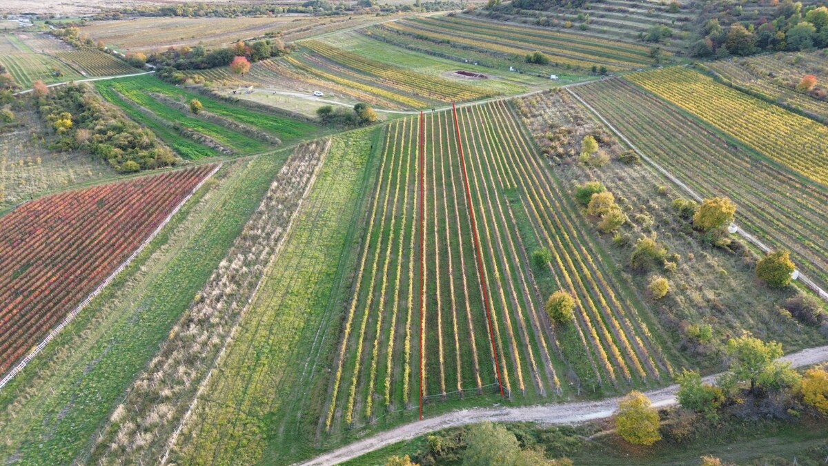 PREDAJ Vinohradu – Pezinok — foto 4