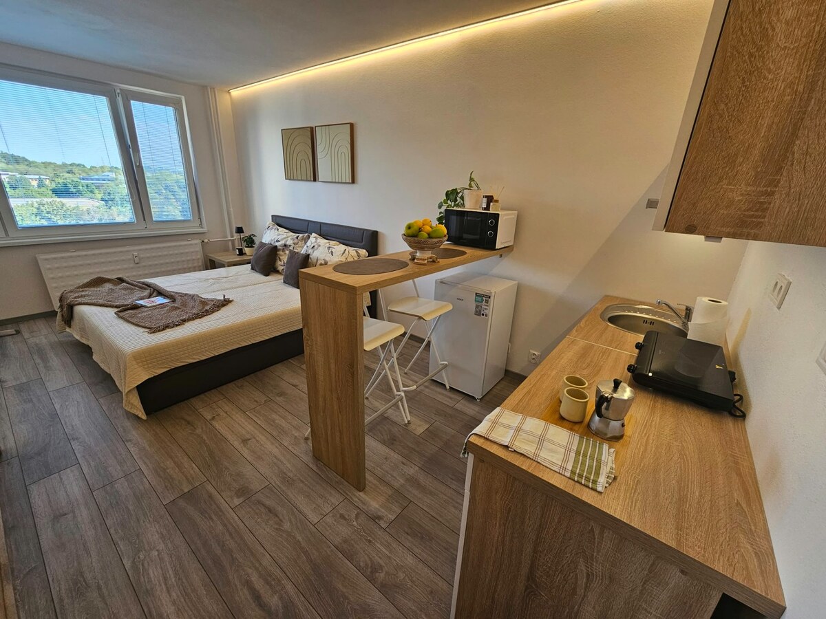 PREDAJ - Zrekonštruovaná garsónka vo vyhľadávanej lokalite - Nitra — foto 3